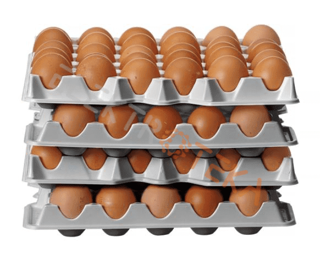 4 kiaušinių padėklų rinkinys OVOBOX 120 matmenys 291x288x(H)41mm
